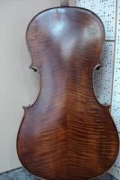 6500a cello 3.JPG